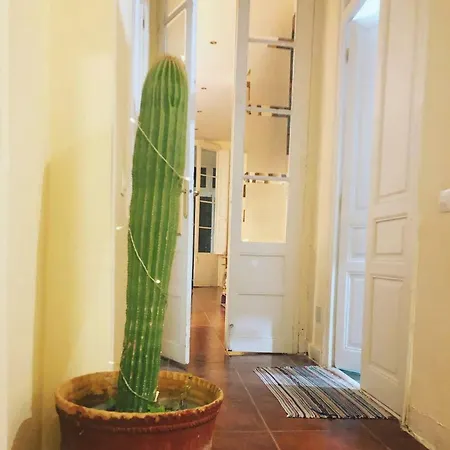 Green Door Gracia Δωμάτια σε οικογενειακή κατοικία Βαρκελώνη